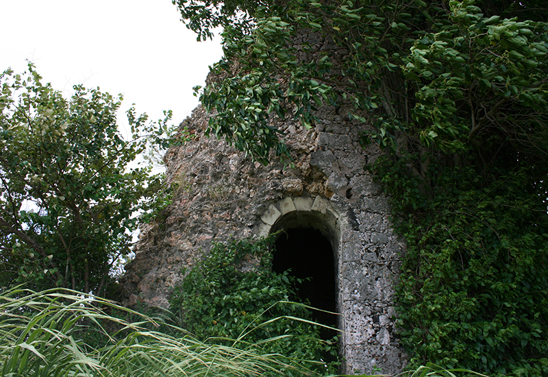  Stone fraternizes with vegetation